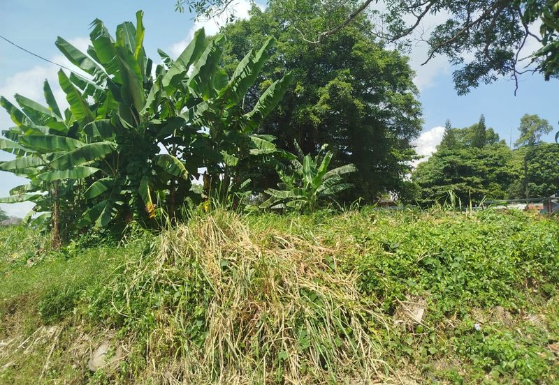 Yahya Awal @ JB Town 20,000 sqft Agricultural Land For Sale 