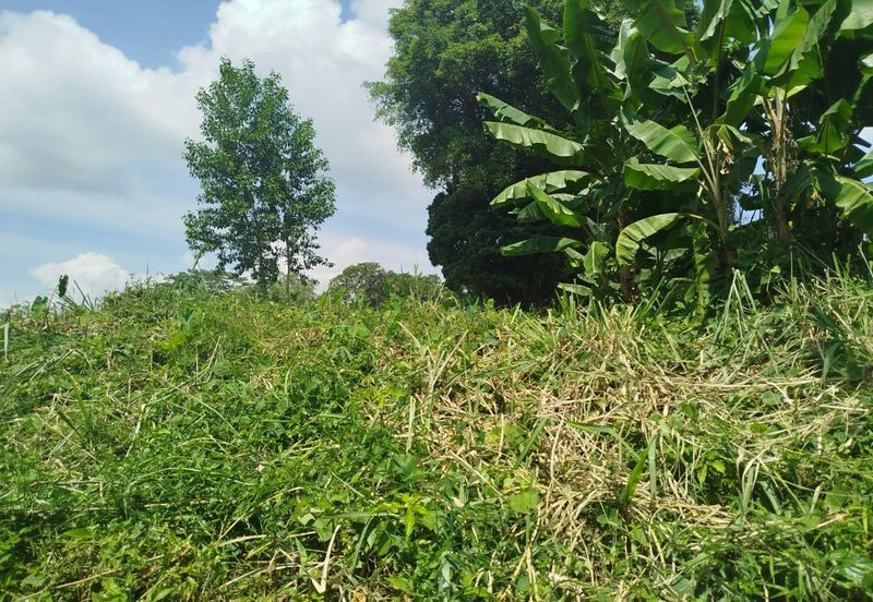 Yahya Awal @ JB Town 20,000 sqft Agricultural Land For Sale 
