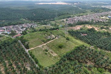 Taman Impian Jaya @ Senai 6.5 Acres Agricultural Land For Sale