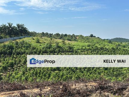 Seelong @ Kulai 16.3 Acres Agricultural Land For Sale, Johor, Senai