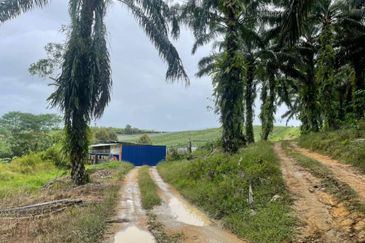 Johor @ Ulu Tiram 66 Acres Agricultural Land For Sale