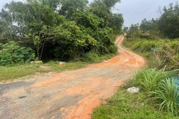 Johor @ Ulu Tiram 66 Acres Agricultural Land For Sale