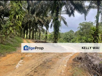 Johor @ Ulu Tiram 66 Acres Agricultural Land For Sale, Johor, Ulu Tiram