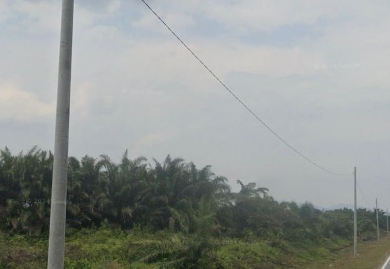 Pekan Nanas Industrial