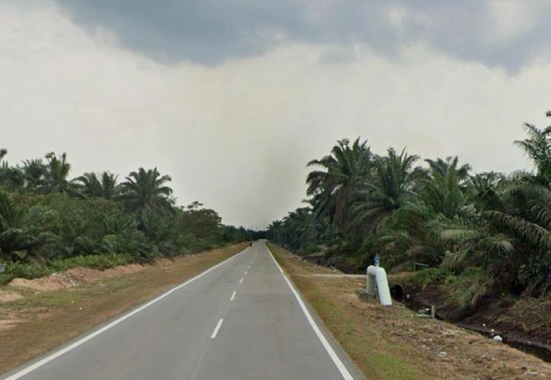 Pekan Nanas Industrial