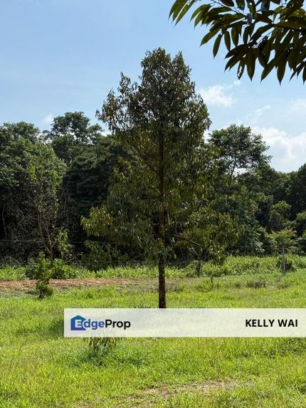 Johor @ Kota Tinggi 55 Acres Agricultural Land For Sale, Johor, Ulu Tiram