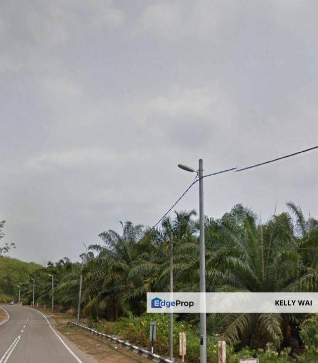 Bahau @ Negeri Sembilan 492 Acres Agricultural Land For Sale, Negeri Sembilan, Jempol