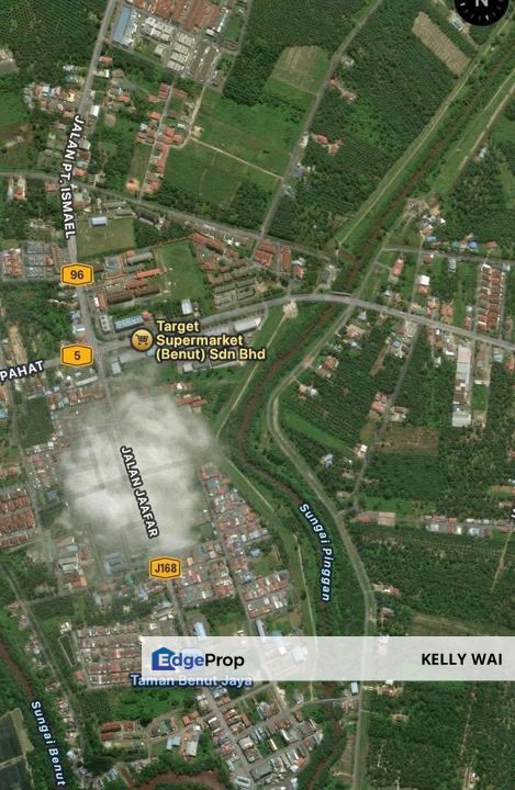 Benut @ Pontian 9.35 acres Agricultural Land For Sale, Johor, Pontian