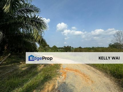 Johor @ Sungai Tiram 59.044 acres Agricultural Land For Sale, Johor, Ulu Tiram