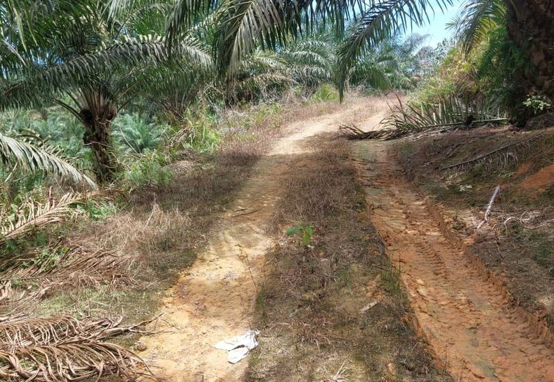 Johor @ Jemaluang 20 acres Agricultural Land For Sale 