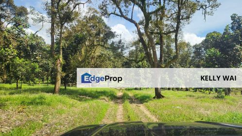 Ulu Benut @ Kluang 39 Acres Agricultural land For Sale, Johor, Kluang