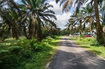 Bukit Batu @ Jalan Kampong Ayer Manis 2.039 Acres Agricultural Land For Sale 