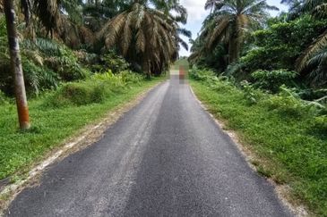 Bukit Batu @ Jalan Kampong Ayer Manis 2.039 Acres Agricultural Land For Sale 