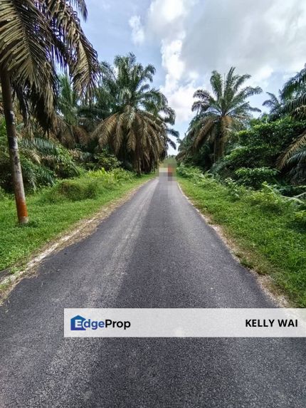 Bukit Batu @ Jalan Kampong Ayer Manis 2.039 Acres Agricultural Land For Sale , Johor, Kulai