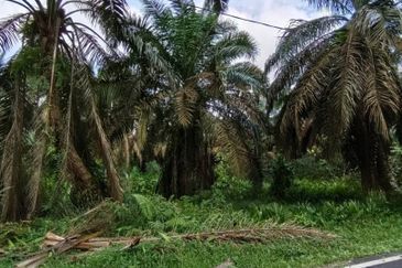 Bukit Batu @ Jalan Kampong Ayer Manis 2.039 Acres Agricultural Land For Sale 