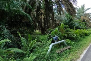 Bukit Batu @ Jalan Kampong Ayer Manis 2.039 Acres Agricultural Land For Sale 