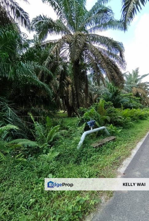 Bukit Batu @ Jalan Kampong Ayer Manis 2.039 Acres Agricultural Land For Sale , Johor, Kulai