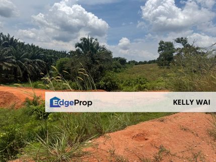 Johor @ Seelong 16.843 Acres Agricultural Land For Sale, Johor, Senai