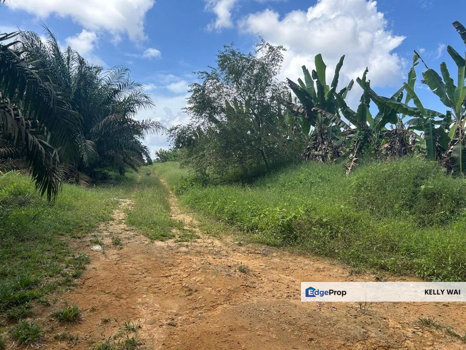Johor @ Senai 14 Acres Agricultural Land For Sale, Johor, Kulai