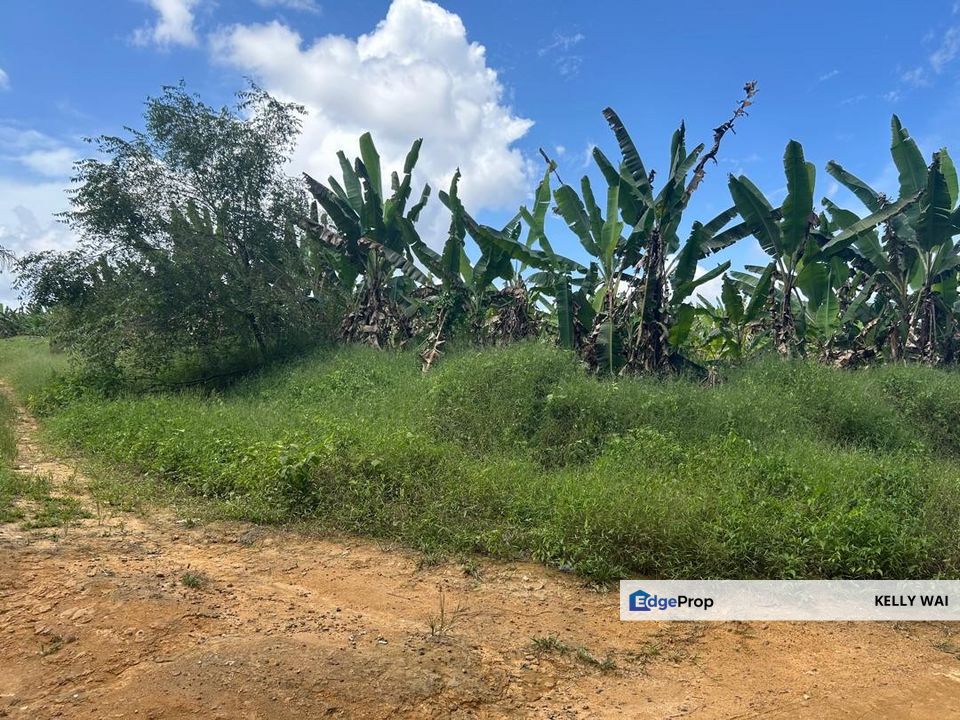 Johor @ Senai 14 Acres Agricultural Land For Sale, Johor, Kulai