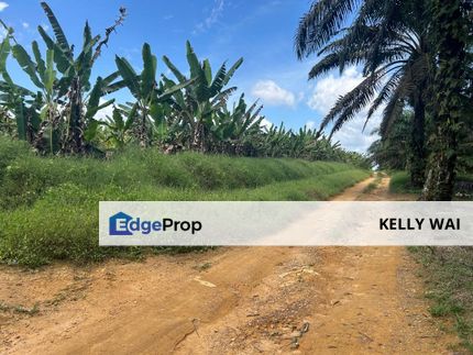 Johor @ Senai 14 Acres Agricultural Land For Sale, Johor, Kulai
