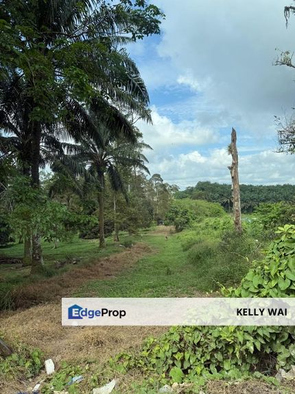 Senai @ Johor 24 Acres Agriculture Land For Sale, Johor, Kulai
