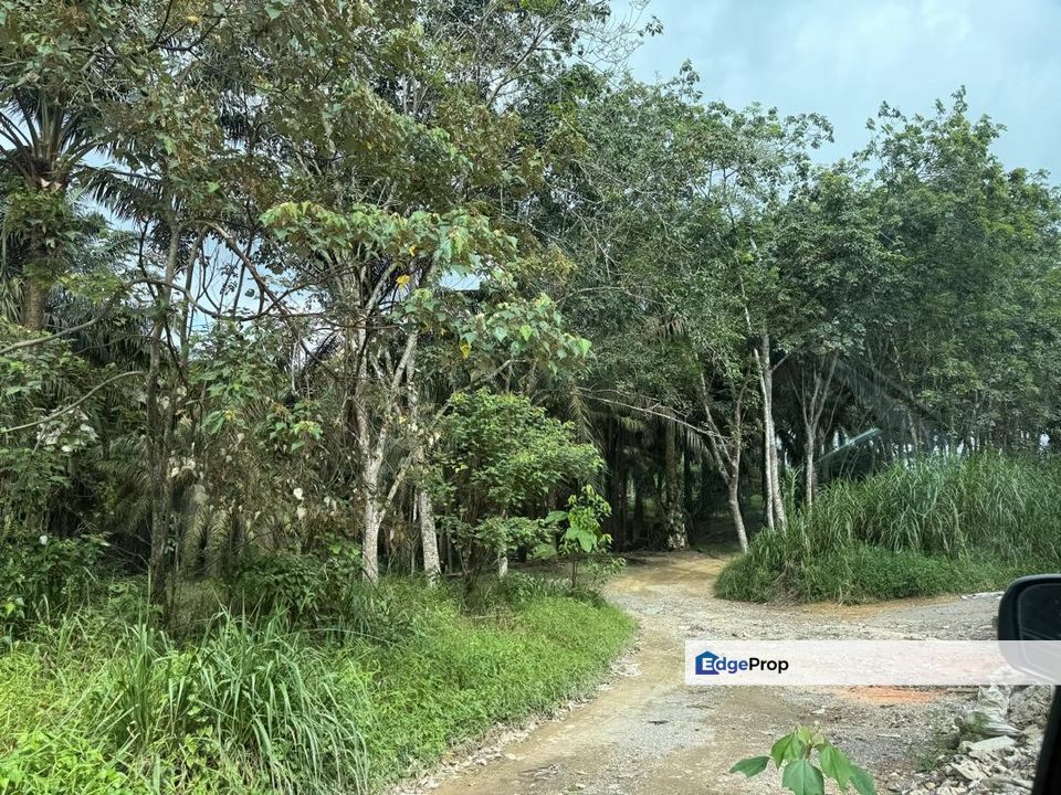 Senai @ Johor 24 Acres Agricultural Land For Sale, Johor, Kulai