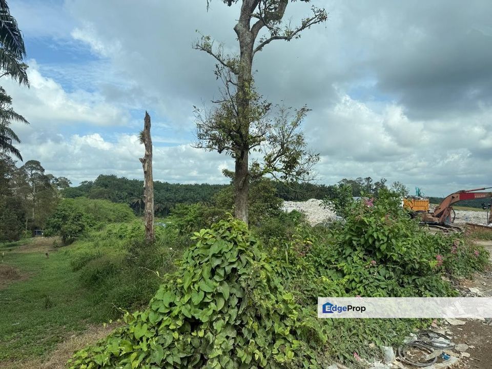 Senai @ Johor 24 Acres Agricultural Land For Sale, Johor, Kulai