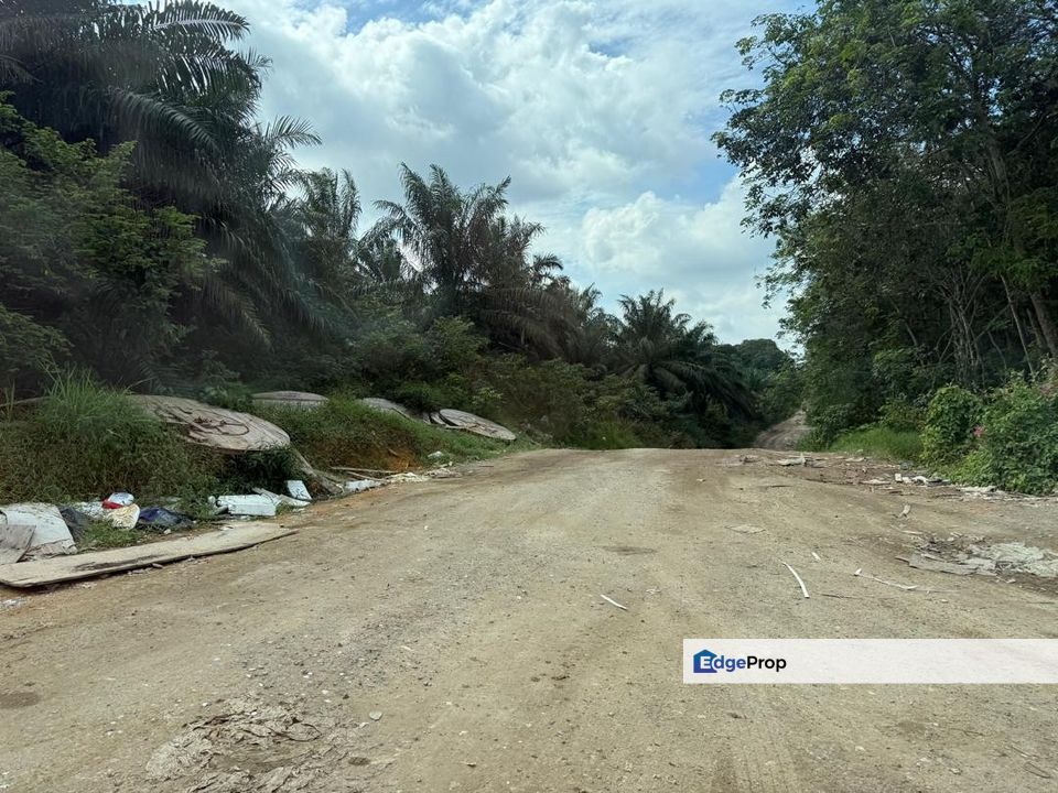 Senai @ Johor 24 Acres Agricultural Land For Sale, Johor, Kulai