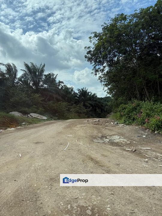 Senai @ Johor 24 Acres Agricultural Land For Sale, Johor, Kulai