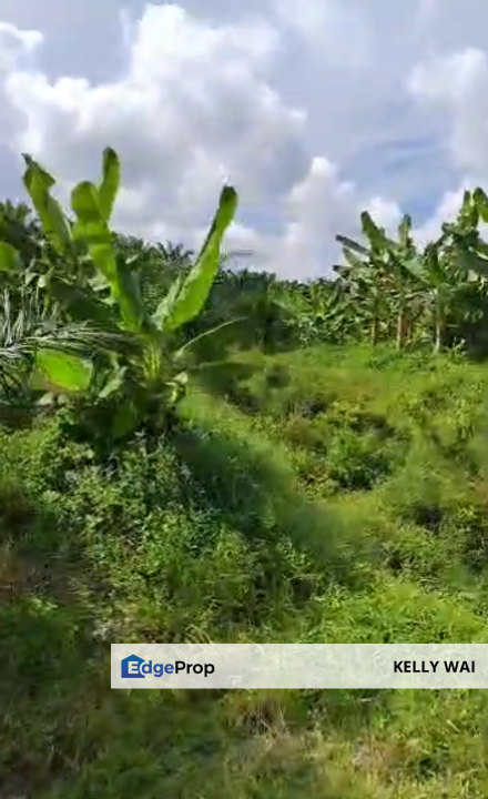 Pasir Panjang @ Negeri Sembilan 58 Acres Agricultural Land For Sale, Negeri Sembilan, Port Dickson