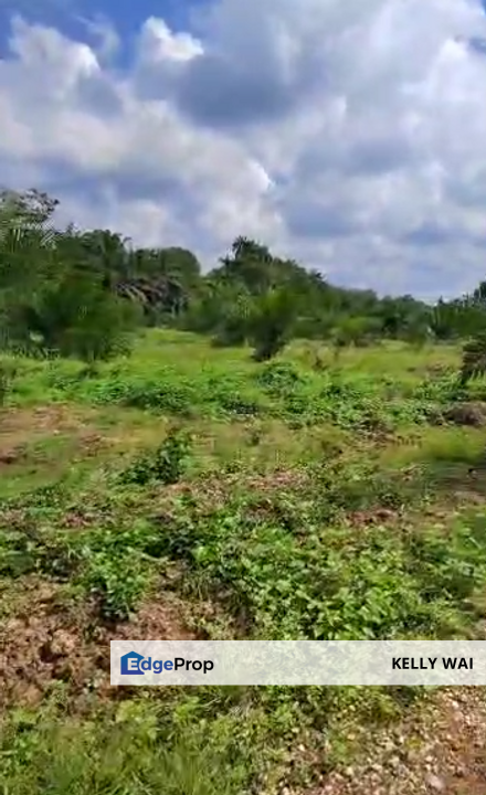 Pasir Panjang @ Negeri Sembilan 58 Acres Agricultural Land For Sale, Negeri Sembilan, Port Dickson