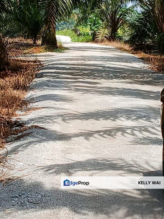 Pasir Panjang @ Negeri Sembilan 53 Acres Agricultural Land For Sale, Negeri Sembilan, Port Dickson