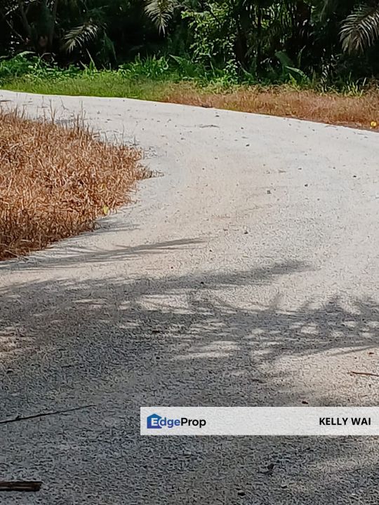 Pasir Panjang @ Negeri Sembilan 53 Acres Agricultural Land For Sale, Negeri Sembilan, Port Dickson