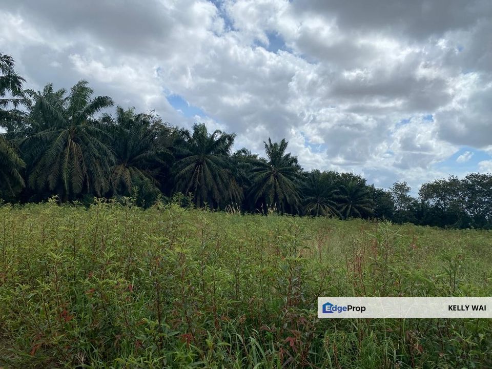 Senai @ Johor 6.35 acres Agricultural Land For Sale, Johor, Kulai