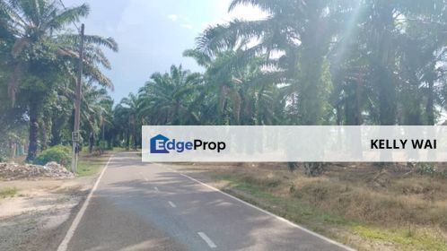 Simpang Renggam @ Johor 45 Acres Agricultural Land For Sale, Johor, Kluang