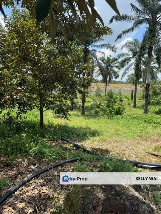 Machap @ Johor 8 acres Agricultural Land For Sale, Johor, Simpang Renggam