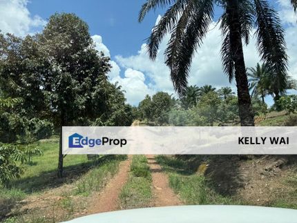 Machap @ Johor 8 acres Agricultural Land For Sale, Johor, Simpang Renggam