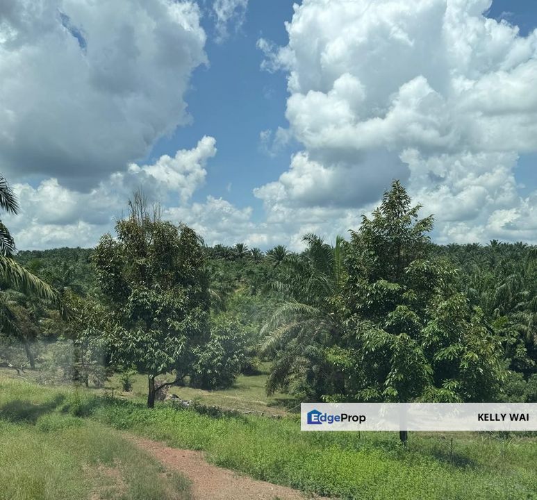 Machap @ Johor 8 acres Agricultural Land For Sale, Johor, Simpang Renggam