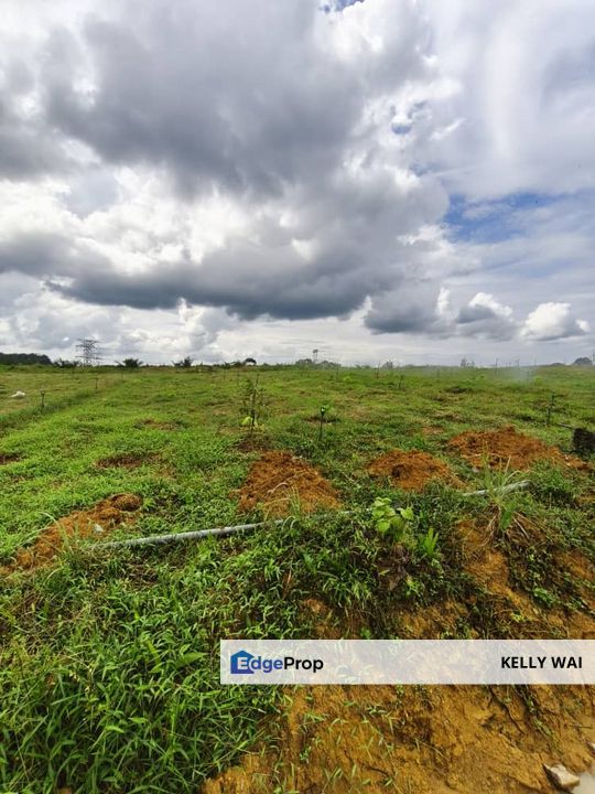 Jalan Sungai Tiram @ Senai  7.7 Acres Agricultural Land For Sale , Johor, Kulai