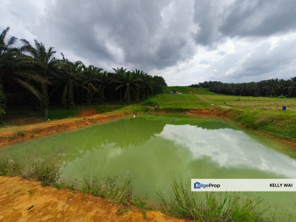 Jalan Sungai Tiram @ Senai  7.7 Acres Agricultural Land For Sale , Johor, Kulai