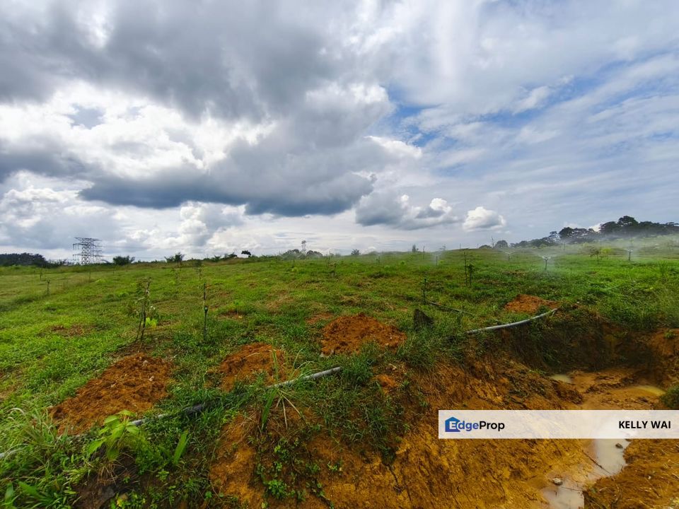 Jalan Sungai Tiram @ Senai  7.7 Acres Agricultural Land For Sale , Johor, Kulai