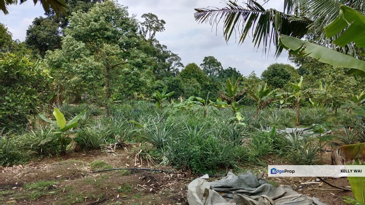 Simpang Renggam @ Johor 5 acres Agricultural land For Sale, Johor, Kluang