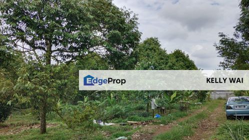 Simpang Renggam @ Johor 5 acres Agricultural land For Sale, Johor, Kluang