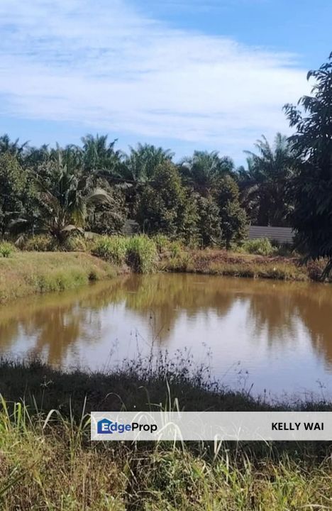 Machap @ Johor 22 acres Agricultural Land For Sale, Johor, Simpang Renggam