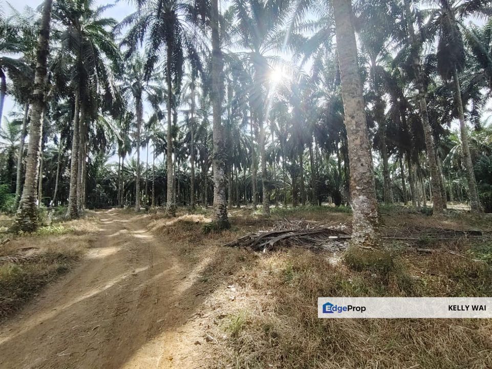 Senai @ Johor 21 Acres Light Industrial Land For Sale, Johor, Senai