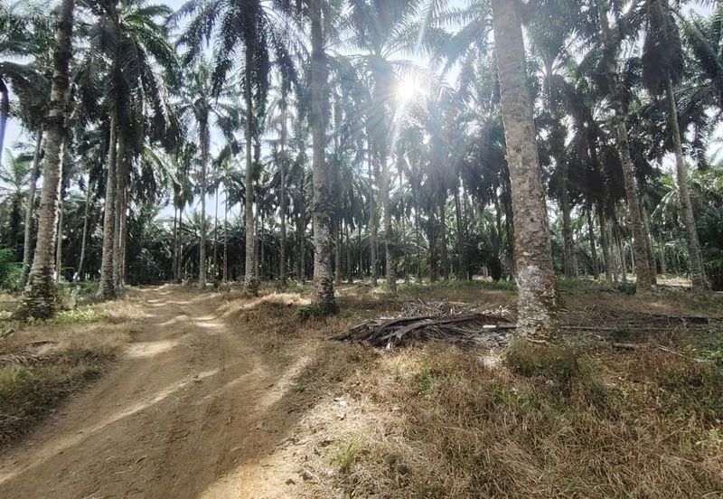 Senai Industrial Park