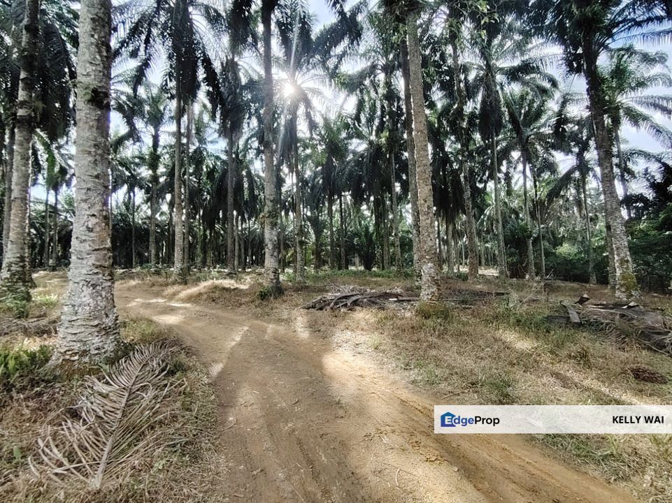 Senai @ Johor 21 Acres Light Industrial Land For Sale, Johor, Senai