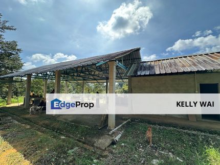 Kota Tinggi @ Johor 10 Acres Agricultural Land For Sale, Johor, Ulu Tiram