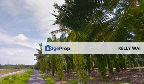 Gelang Patah @ Second Link 5 Acres Industrial Land For Sale, Johor, Gelang Patah